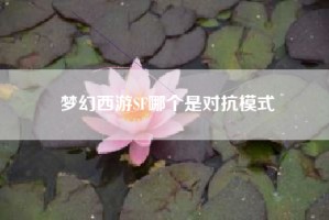 梦幻西游SF哪个是对抗模式