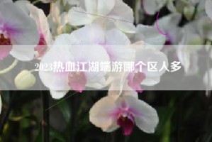 2023热血江湖端游哪个区人多