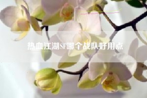 热血江湖SF哪个战队好用点