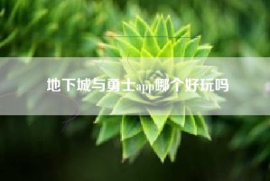 地下城与勇士app哪个好玩吗