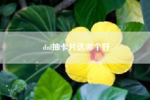 dnf抽卡片选哪个好