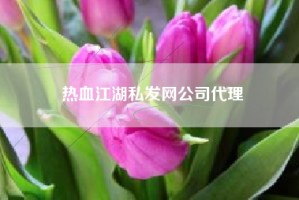 热血江湖私发网公司代理