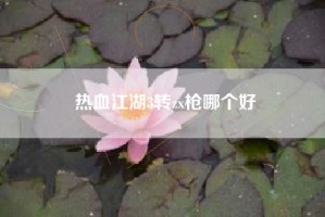 热血江湖3转zx枪哪个好