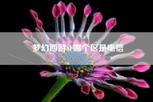 梦幻西游SF哪个区是电信