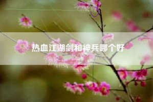 热血江湖剑和神兵哪个好