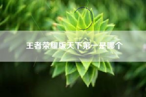 王者荣耀版天下第一是哪个