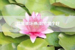 暗黑破坏神2职业哪个好