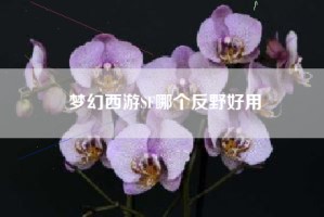 梦幻西游SF哪个反野好用