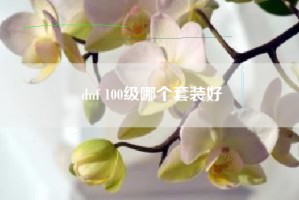 dnf 100级哪个套装好