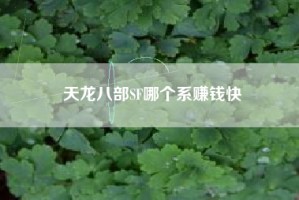 天龙八部SF哪个系赚钱快