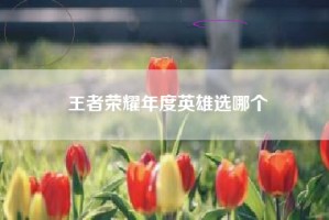 王者荣耀年度英雄选哪个