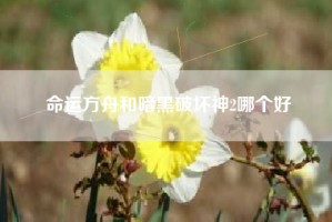 命运方舟和暗黑破坏神2哪个好