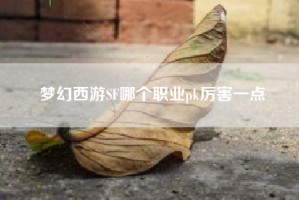 梦幻西游SF哪个职业pk厉害一点