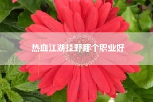 热血江湖挂野哪个职业好