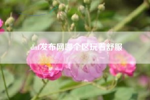 dnf发布网哪个区玩着舒服