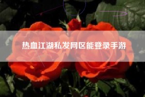 热血江湖私发网区能登录手游