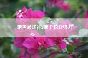 暗黑破坏神2哪个职业强力