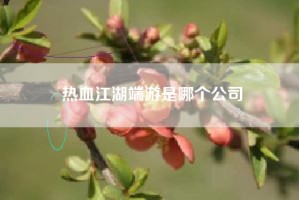 热血江湖端游是哪个公司