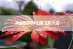 神仙道手游轮回塔多少层