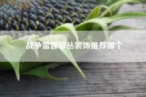 战争雷霆草丛装饰推荐哪个