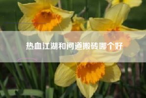 热血江湖和问道搬砖哪个好