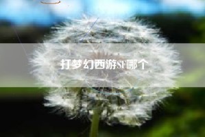 打梦幻西游SF哪个