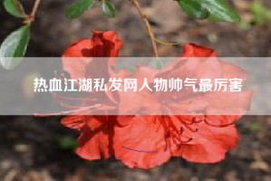 热血江湖私发网人物帅气最厉害