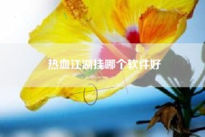 热血江湖挂哪个软件好