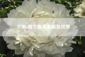 文明6哪个版本美丽新世界