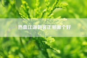 热血江湖刺客正邪哪个好