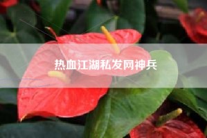 热血江湖私发网神兵