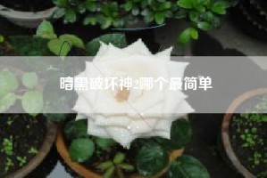 暗黑破坏神2哪个最简单