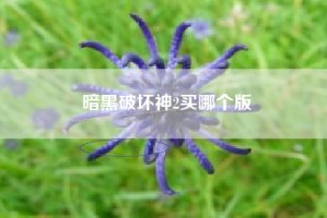 暗黑破坏神2买哪个版