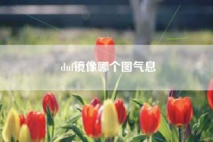 dnf镜像哪个图气息