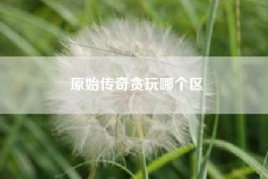 原始传奇贪玩哪个区