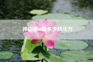 神仙道60级多少战斗力