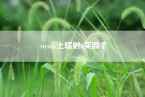 steam上辐射4买哪个