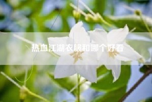 热血江湖衣服和哪个好看