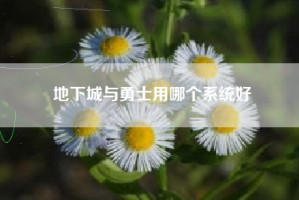 地下城与勇士用哪个系统好