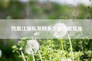 热血江湖私发网多少级才能变身