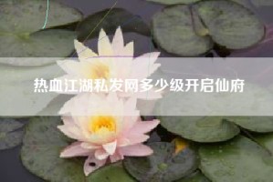 热血江湖私发网多少级开启仙府