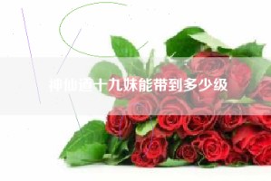 神仙道十九妹能带到多少级