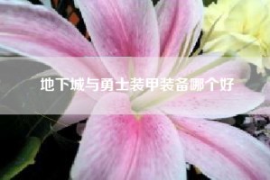 地下城与勇士装甲装备哪个好