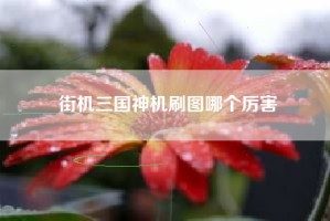 街机三国神机刷图哪个厉害