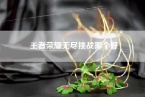 王者荣耀无尽挑战哪个好