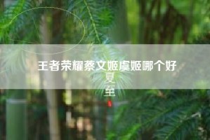 王者荣耀蔡文姬虞姬哪个好