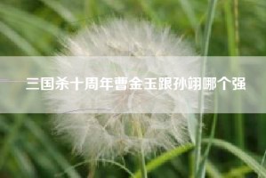 三国杀十周年曹金玉跟孙翊哪个强