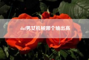 dnf男女机械哪个输出高