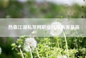 热血江湖私发网职业技能伤害最高