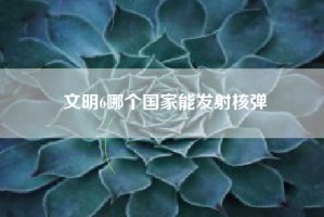 文明6哪个国家能发射核弹